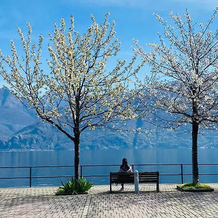 דירה Brother's Como Lake אקסריה